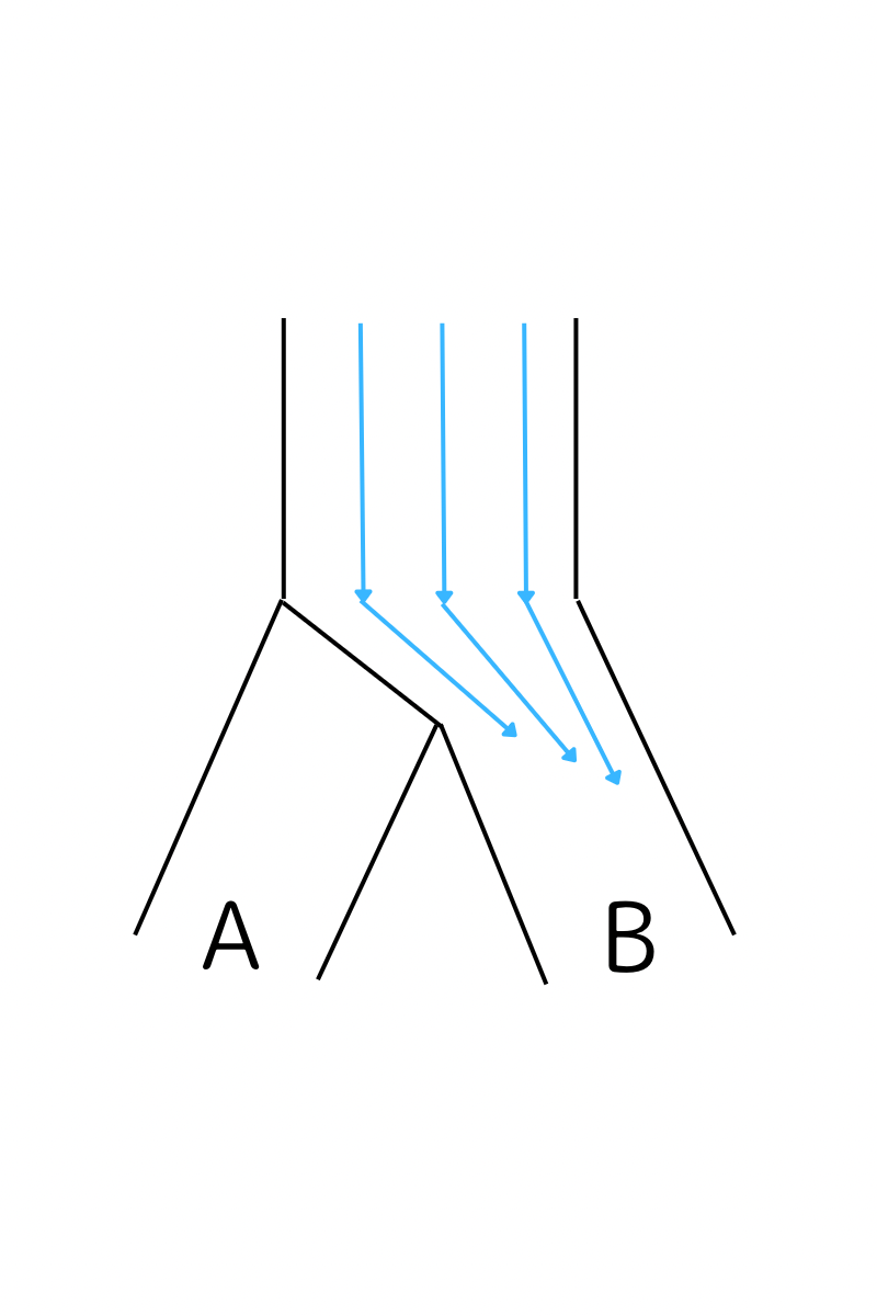 もしこの川の水をB方向にだけ流したければ、A方向の入り口を止めれば良い